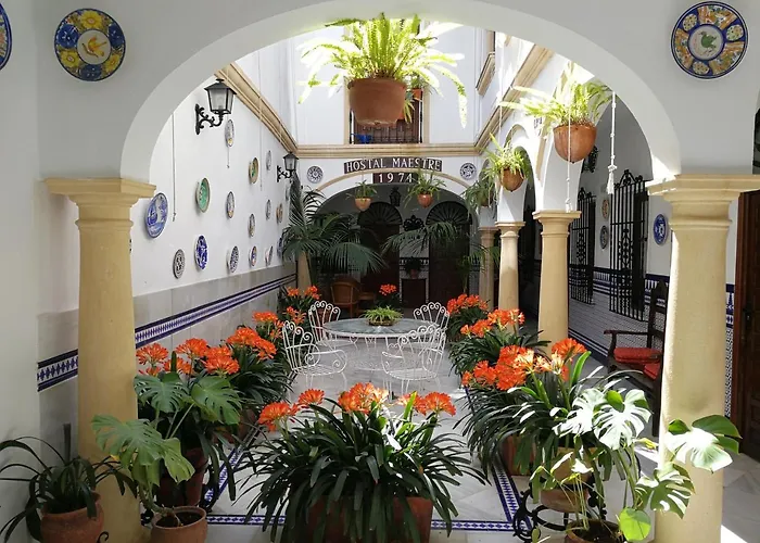 Hotel: Hostal Maestre